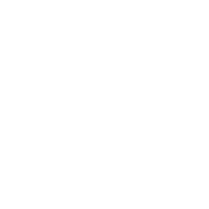 assistencia bertazzoni sp